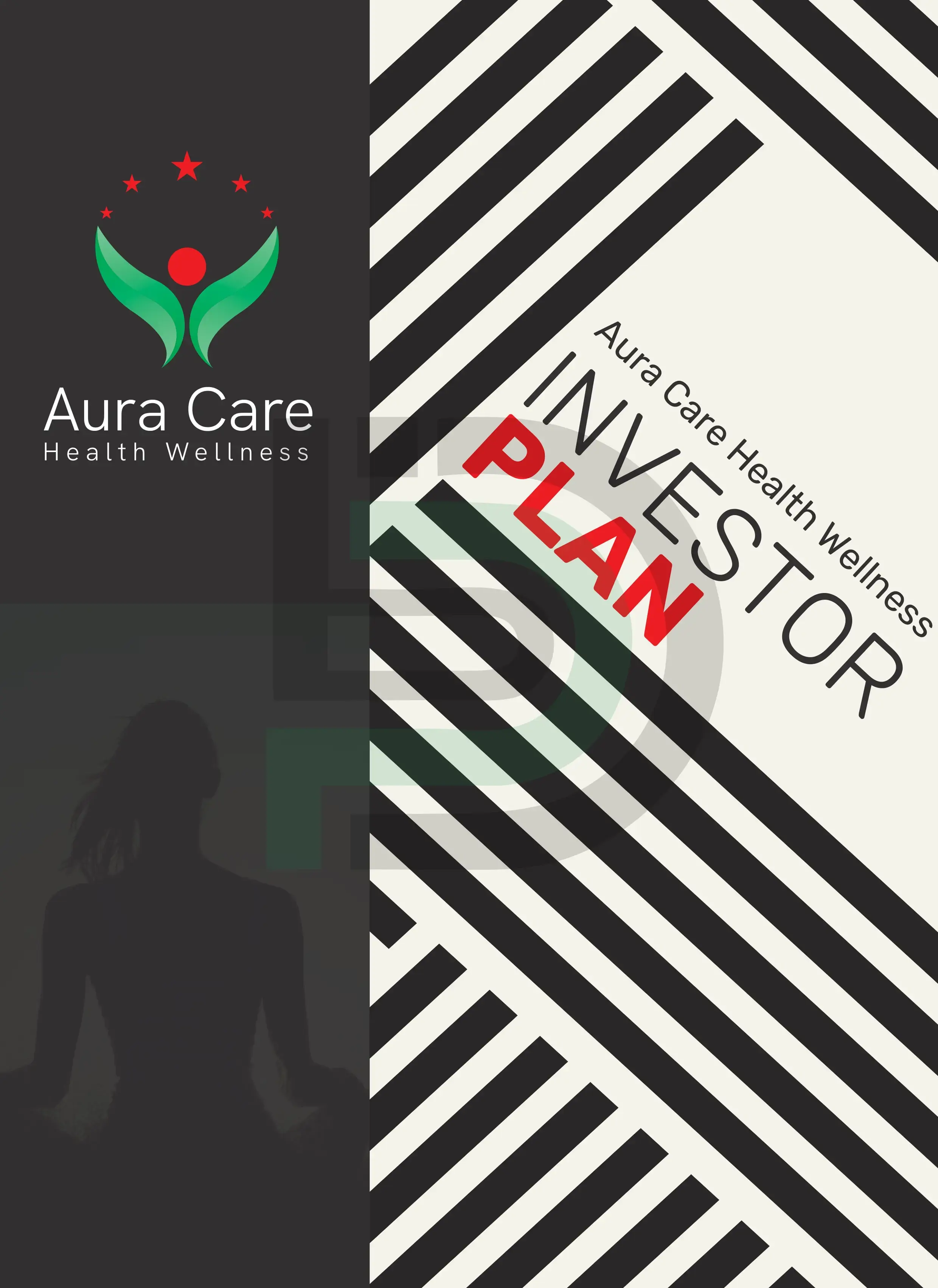 Investor and Bank Plans